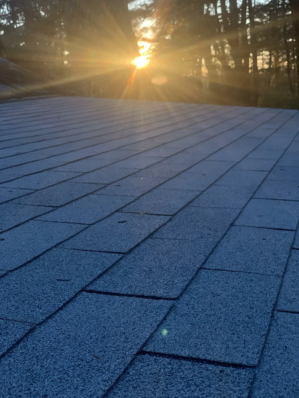 Newly shingled cabin roof beneath a woodland sunset